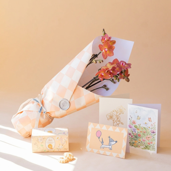 Orquídea Naranja Cumple con Envoltorio, Galletas y Tarjeta